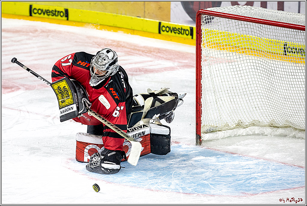 DEL; Koelner Haie - Adler Mannheim, 05.04.2019